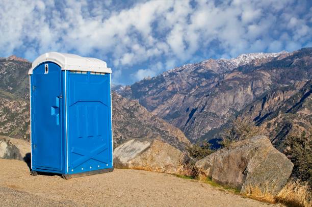 Best Sanitation services for porta potties  in Lubeck, WV